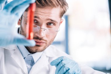 Gözlüklü yakışıklı immünolojistin seçici odak noktası klinikte kırmızı sıvıyla test tüpü tutması 