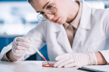 Gözlüklü çekici immünolojistin laboratuvarda kırmızı sıvıyla pipetini tutmasının seçici odağı 