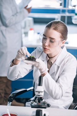 attractive biochemist holding glass with ground and green leaves  clipart