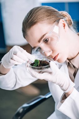 attractive biochemist in goggles looking at green plant  clipart