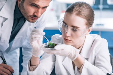 biochemist in goggles holding tweezers near green plant and coworker  clipart
