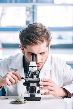 Beyaz önlüklü sakallı biyokimyacının laboratuvarda mikroskopla incelediği seçici odak noktası. 