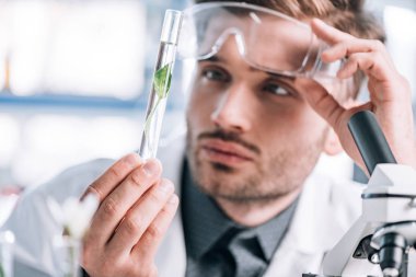 Gözlüklere dokunan ve yeşil bitkilerle test tüpüne bakan yakışıklı biyokimyacının seçici odağı. 