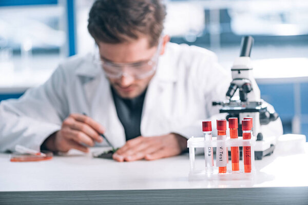 selective focus of test tubes near microscope and biochemist