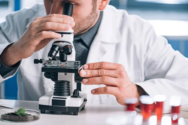 研究室で顕微鏡を通して見る髭の生化学者の — ストック写真