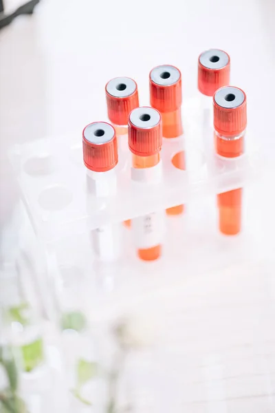 Selective Focus Red Test Tubes Samples — Stock Photo, Image