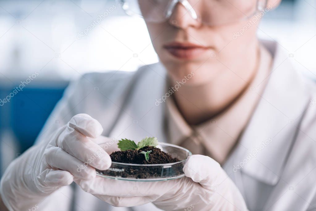 cropped view of biochemist holding glass with ground and green leaves 