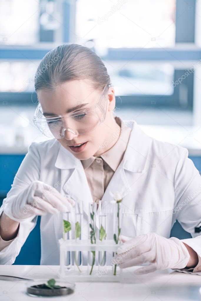 selective focus of beautiful biochemist in goggles looking a test tubes with small plants near microscope 