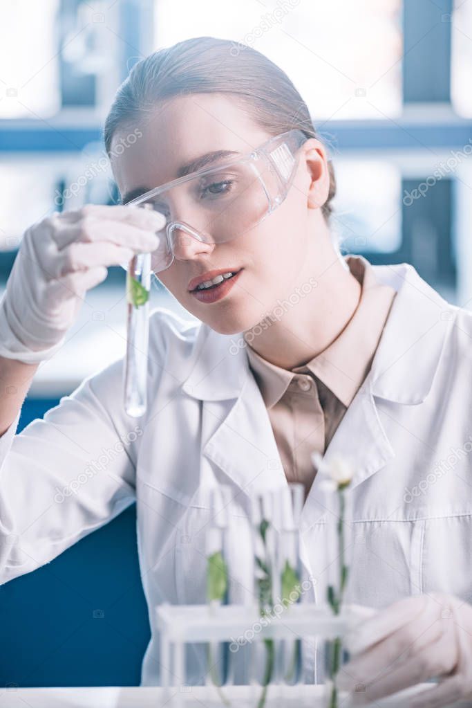 selective focus of attractive biochemist in goggles holding test tube with green plant