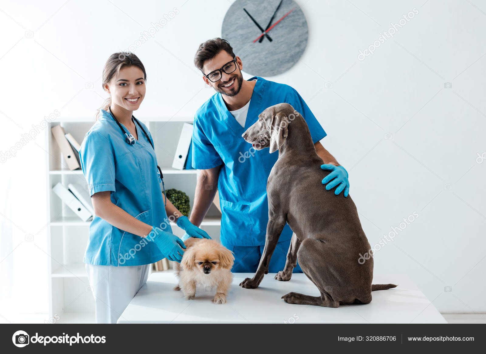 The Nearest Veterinarian lupon.gov.ph