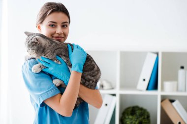 Gri tekir kediyi elinde tutarken kameraya bakan gülümseyen veteriner.
