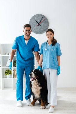 Bernese dağ köpeğinin yanında kameraya bakan iki gülümseyen veteriner.