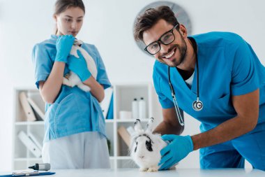 Klinikte iki sevimli tavşanı muayene eden genç veterinerler.