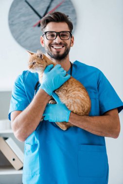 cheerful veterinarian looking at camera while holding red tabby cat on hands clipart
