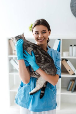 Gri tekir kediyi elinde tutarken kameraya gülümseyen çekici veteriner.