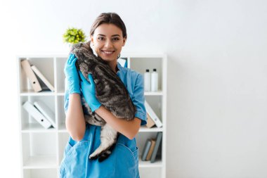 Gri tekir kediyi elinde tutarken kameraya gülümseyen genç veteriner