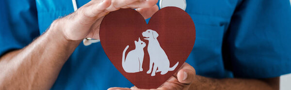 cropped view of veterinarian showing paper cut heart with dog and cat symbols, panoramic shot