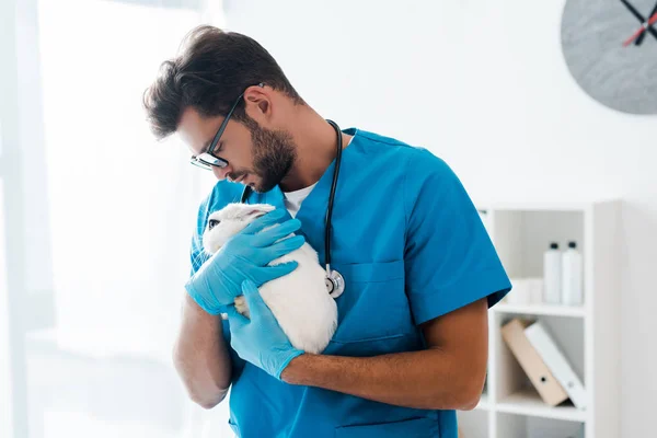 Young Handsome Veterinarian Holding Cute White Rabbit Hands — Stock Photo, Image