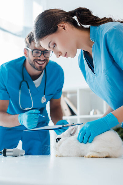 smiling veterinarian holding clipboard while colleague examining cute rabbit