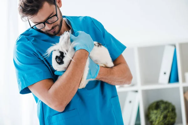 Jovem Veterinário Segurando Bonito Coelho Preto Branco Mãos — Fotografia de Stock