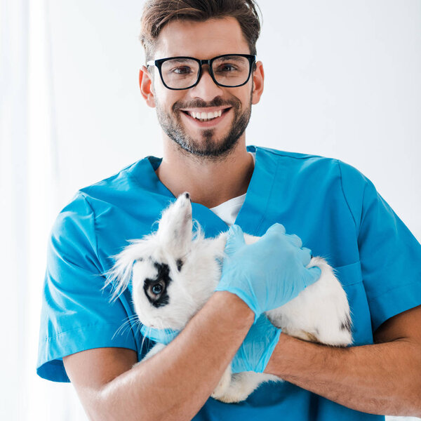 cheerful veterinarian smiling at camera while holding cute black and white rabbit on hands