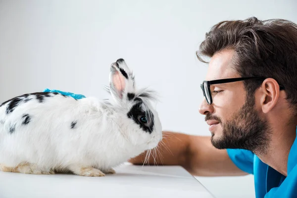 Visão Lateral Jovem Veterinário Positivo Olhando Para Coelho Fofo Bonito — Fotografia de Stock