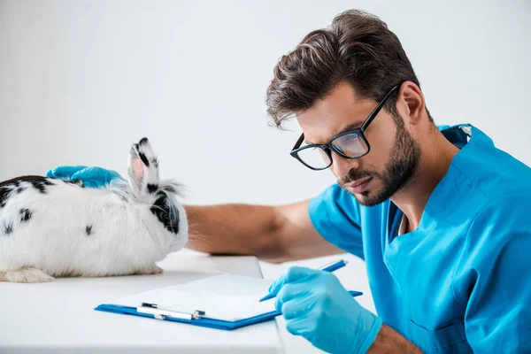 细心的兽医在可爱的白兔旁边的剪贴板上写下处方 — 图库照片