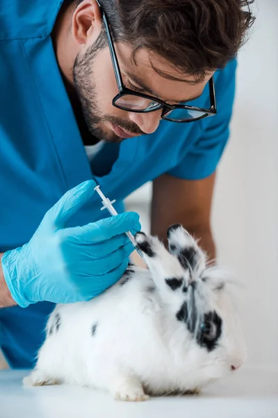 Молодой Ветеринар Делает Вакцинацию Симпатичного Пятнистого Кролика — стоковое фото