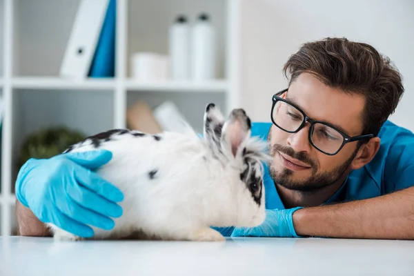 Joven Veterinario Positivo Mirando Lindo Conejo Moteado Sentado Mesa — Foto de Stock