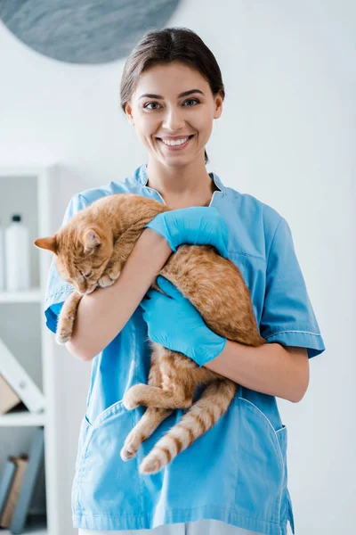 Jovem Veterinário Alegre Sorrindo Para Câmera Enquanto Segurando Bonito Gato — Fotografia de Stock