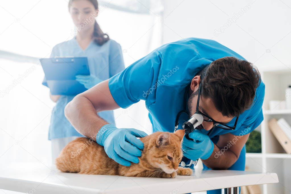 selective focus of veterinarian examining ears of red cat with otoscope while colleague writing on clipboard