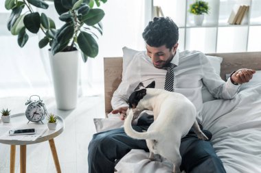 Gülümseyen iki ırklı iş adamı sabah evde Jack Russell Terrier 'i besliyor. 