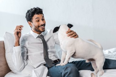 Gülümseyen iki ırklı iş adamı sabah Jack Russell Terrier 'ı kucağında tutuyor. 