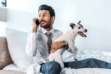 Çift ırklı iş adamı Jack Russell Terrier 'ı tutuyor ve sabah akıllı telefondan konuşuyor. 