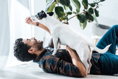 Yakışıklı, çift ırklı adamın yandan görünüşü gülümseyen ve Jack Russell Terrier 'ı besleyen