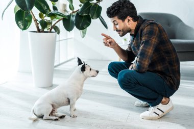 Jack Russell Terrier 'ı eğiten iki ırklı yakışıklı adamın yan görünüşü