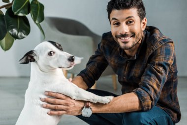 Yakışıklı ve gülümseyen çift ırklı adam Jack Russell Terrier 'ı tutuyor.
