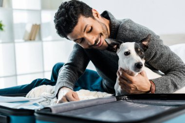 Yakışıklı ve gülümseyen iki ırklı adam Jack Russell Terrier 'ı okşuyor ve valizin yanında oturuyor.