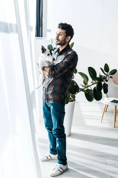 Handsome Racial Man Holding Jack Russell Terrier Looking Window — Stock Photo, Image