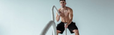 selective focus of sexy muscular bodybuilder with bare torso exercising with battle rope on grey background, panoramic shot clipart