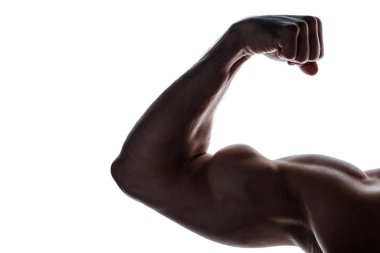 cropped view of muscular bodybuilder showing biceps in shadow isolated on white clipart