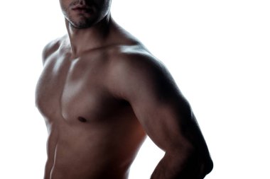 Çıplak gövdeli seksi kaslı vücut geliştiricinin kısmi görüntüsü beyaz üzerine izole edilmiş gölgede duruyor.