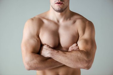 cropped view of sexy muscular bodybuilder with bare torso posing with crossed arms isolated on grey clipart