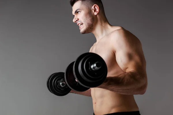 Fisiculturista Muscular Sexy Com Tronco Exercitando Com Halteres Isolados Cinza — Fotografia de Stock