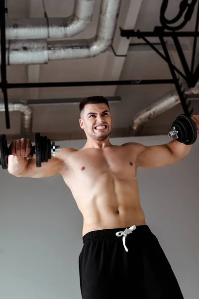 Low Angle View Sexy Muscular Bodybuilder Bare Torso Exercising Dumbbells — Stock Photo, Image