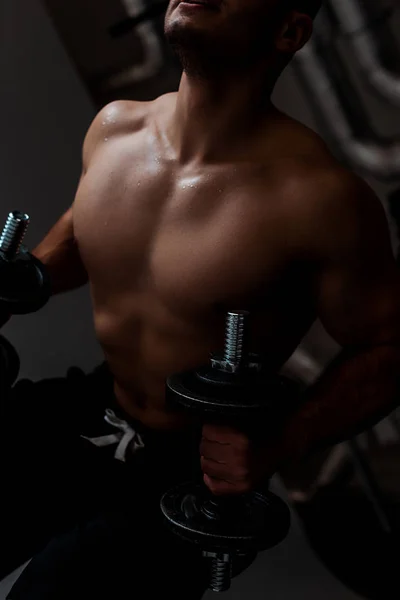 用哑铃锻炼的赤裸躯干的肌肉健美者的剪影 — 图库照片