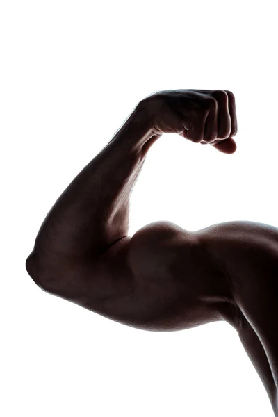 Cropped View Muscular Bodybuilder Showing Biceps Shadow Isolated White — Stock Photo, Image