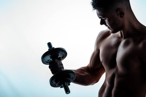 sexy muscular bodybuilder with bare torso exercising with dumbbell on white