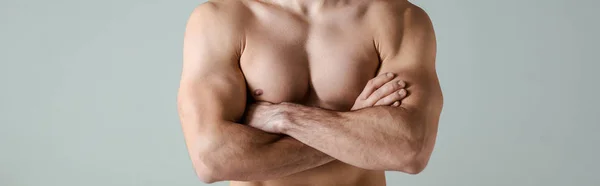 セクシーな筋肉ボディビルダーともに裸の胴ポーズとともに交差腕孤立でグレー パノラマショット — ストック写真