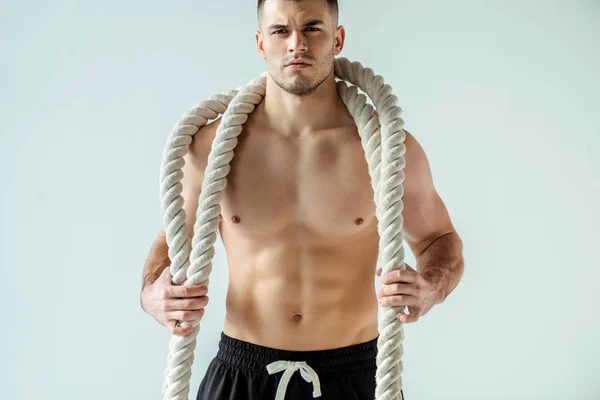 Sexy muscular bodybuilder with bare torso posing with battle rope isolated on grey — Stock Image Sexy Muscular Bodybuilder Bare Torso Posing Battle Rope Isolated Grey Royalty Free Stock Images